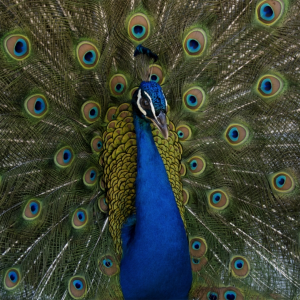 Captura de pantalla 2024-05-26 a les 2.09.39 p. m.